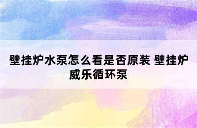 壁挂炉水泵怎么看是否原装 壁挂炉威乐循环泵